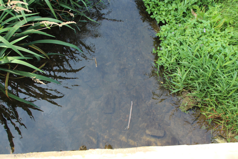 stream over a bridge with pooh sticks floating on the water 